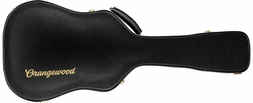 Перевозка гитары в самолёте: как гарантированно довезти инструмент в целости