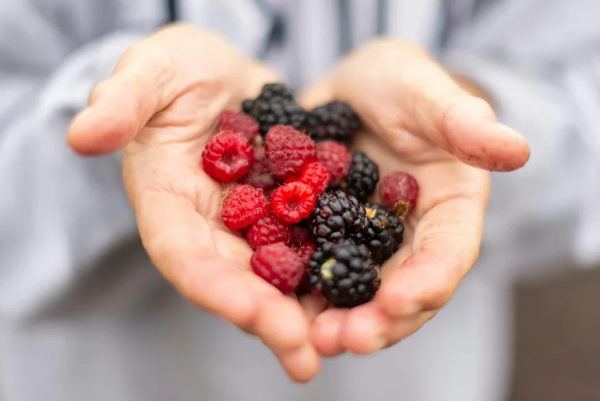 Как легко отмыть руки от черники и вишни: 5 рабочих способов с кухни