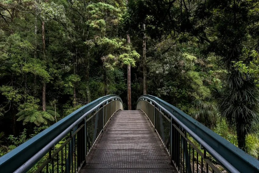 Как прогулки на природе меняют восприятие времени и «замедляют» его