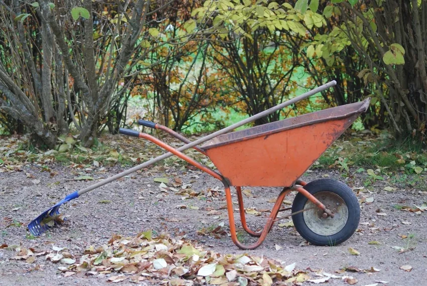 Правильная стрижка газона: как сохранить траву и помочь насекомым