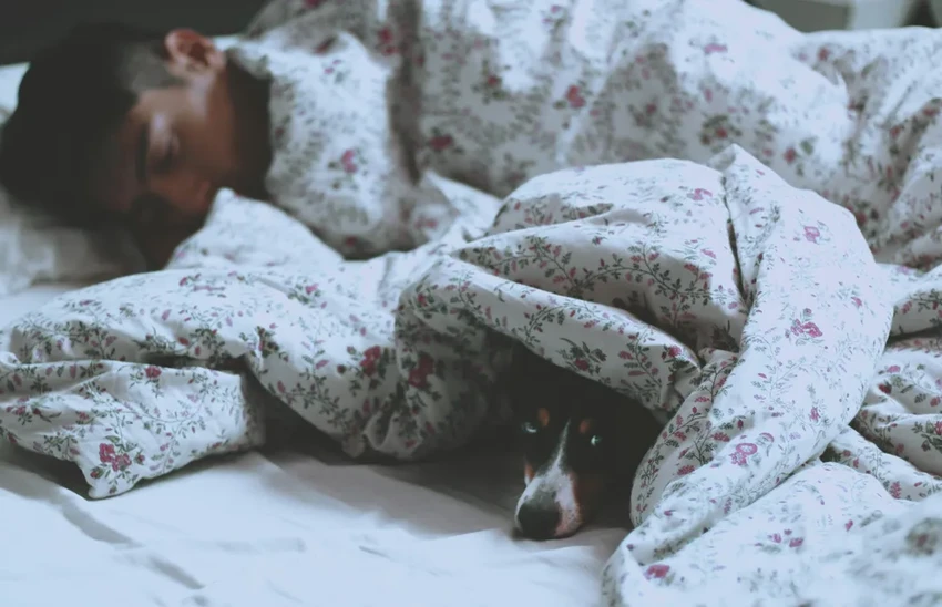 «Совы» умнее «жаворонков»: что говорит масштабное исследование об интеллекте