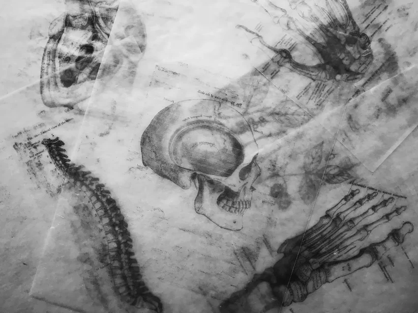 Как мозг превращает увиденное в эмоции и действия: новое открытие