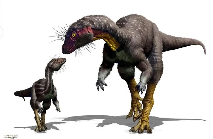 Найдены норные динозавры: новый вид размером с собаку жил под землёй