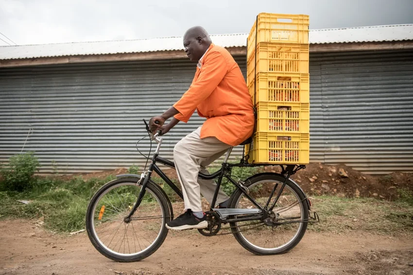 Велосипед Buffalo с двумя цепями: гениальная простота для гуманитарных миссий