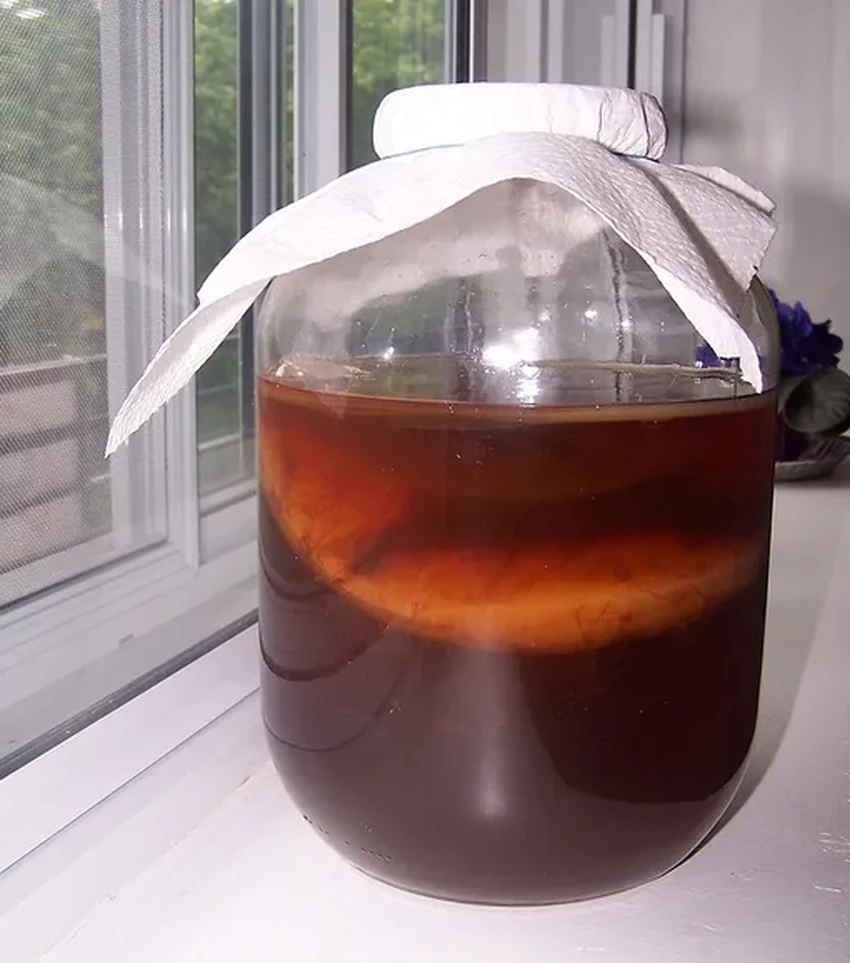 Как приготовить комбучу дома: простой рецепт чайного гриба