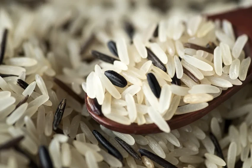 Рисовая шелуха вместо мусора: как из отходов делают жидкое стекло и утеплитель