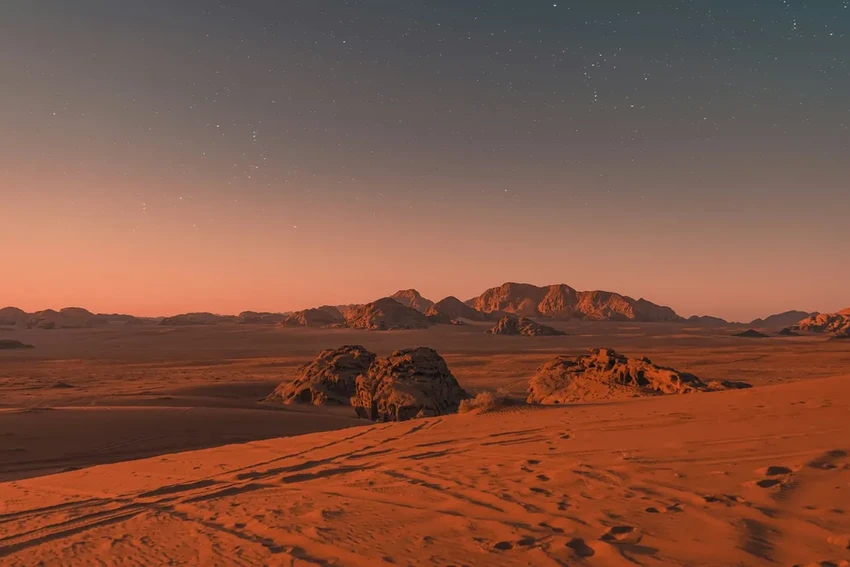 Неубиваемый мох для Марса: как растение пережило космический холод и радиацию