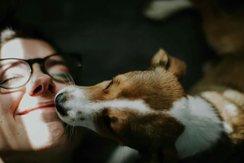 «Щенковая депрессия»: почему появление собаки может вызвать стресс и тревогу