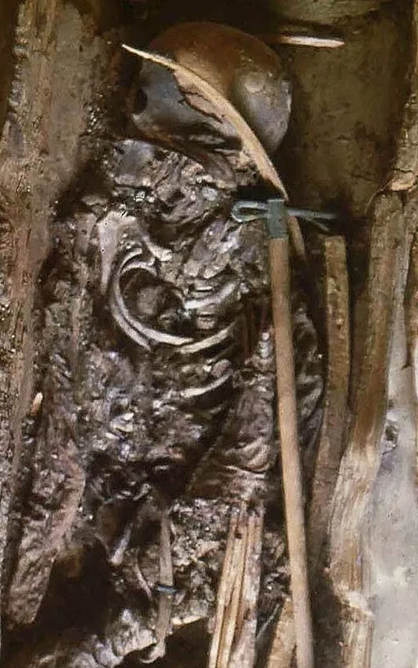 Тувинская амазонка: как 12-летняя девочка-воин 2600 лет обманывала археологов