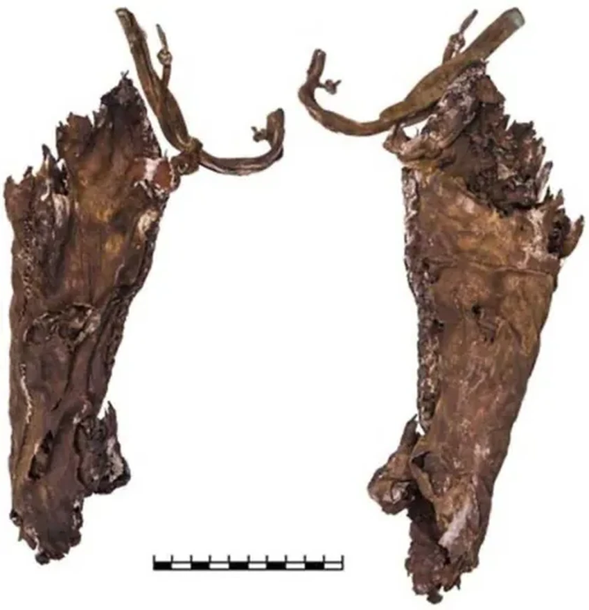 Тувинская амазонка: как 12-летняя девочка-воин 2600 лет обманывала археологов