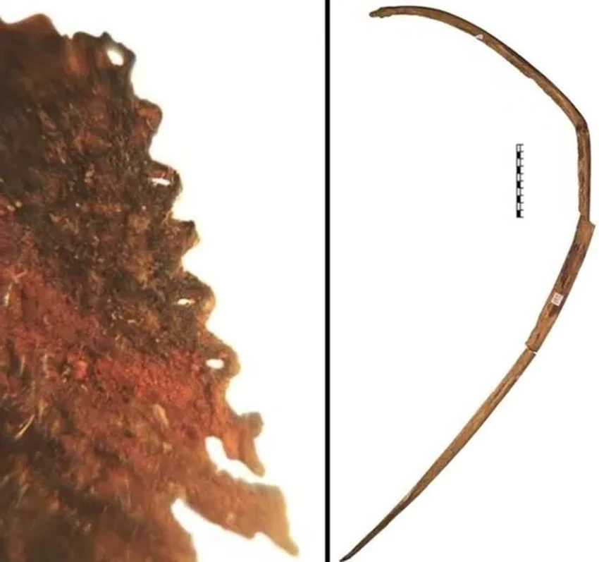 Тувинская амазонка: как 12-летняя девочка-воин 2600 лет обманывала археологов