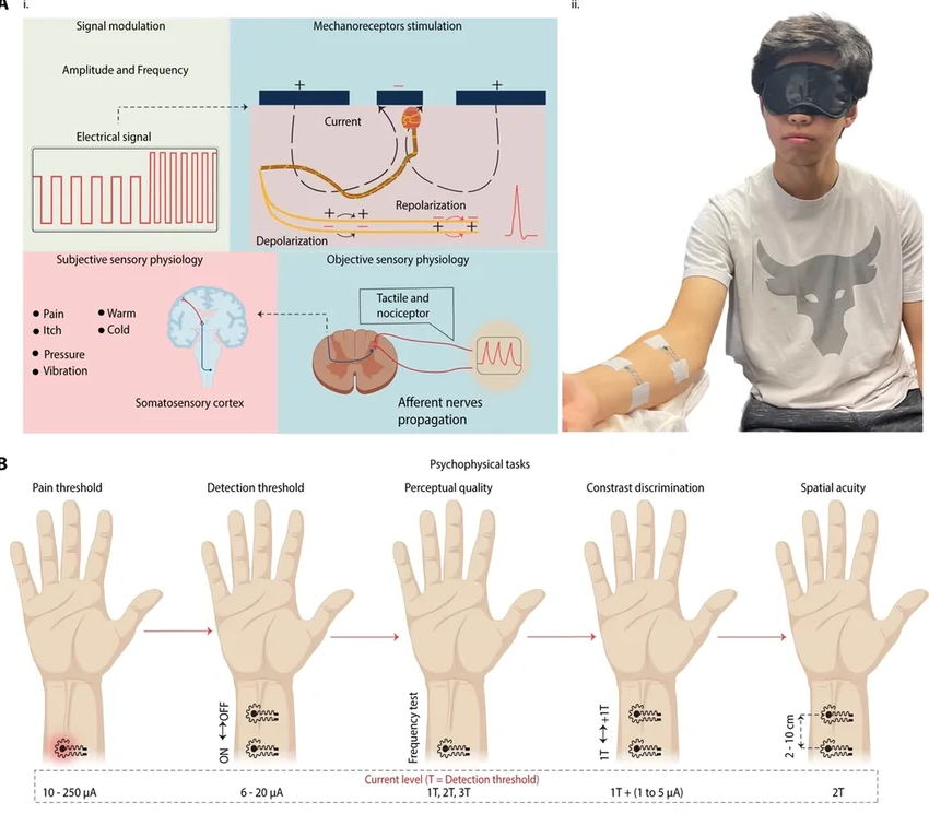 Эластичный пластырь передает тактильные ощущения для виртуальной реальности