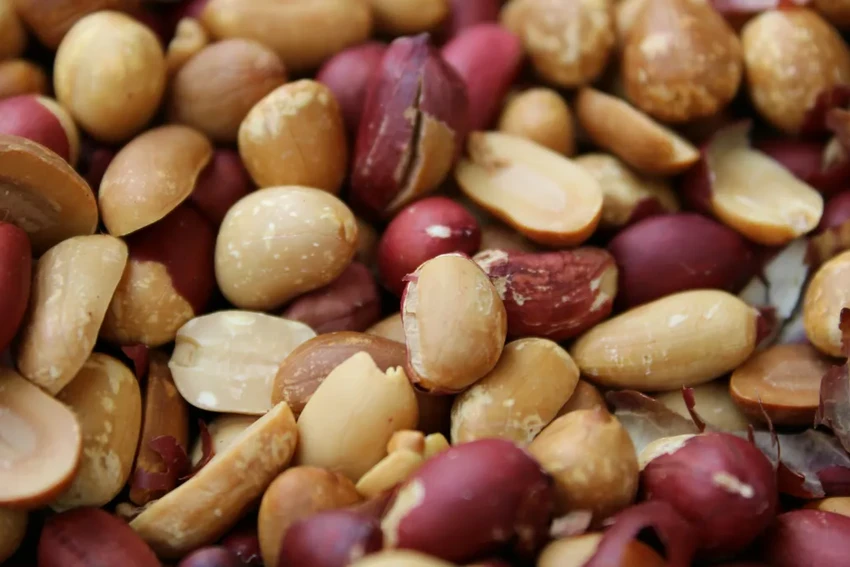 Почему орехи помогают похудеть: научное объяснение полезного перекуса