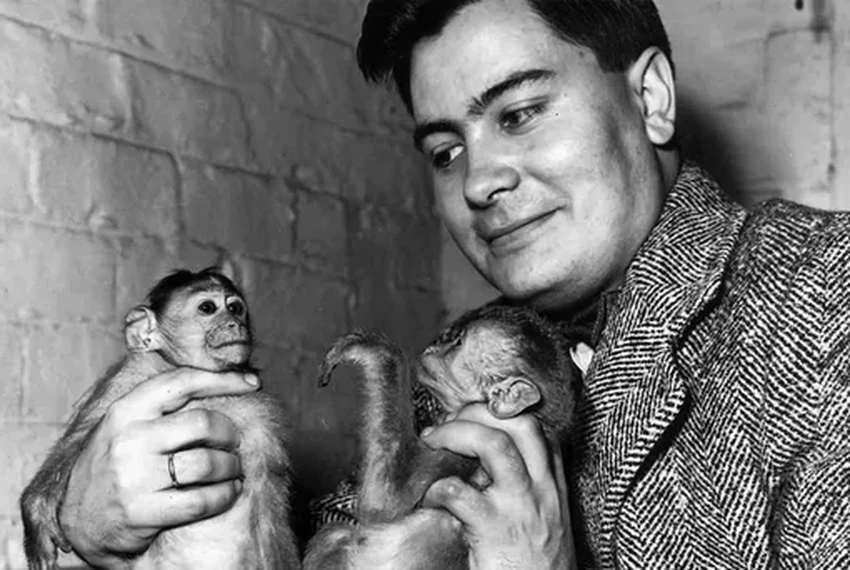 Трагедия в Джонстауне: как лидер секты привёл 900 человек к массовому самоубийству