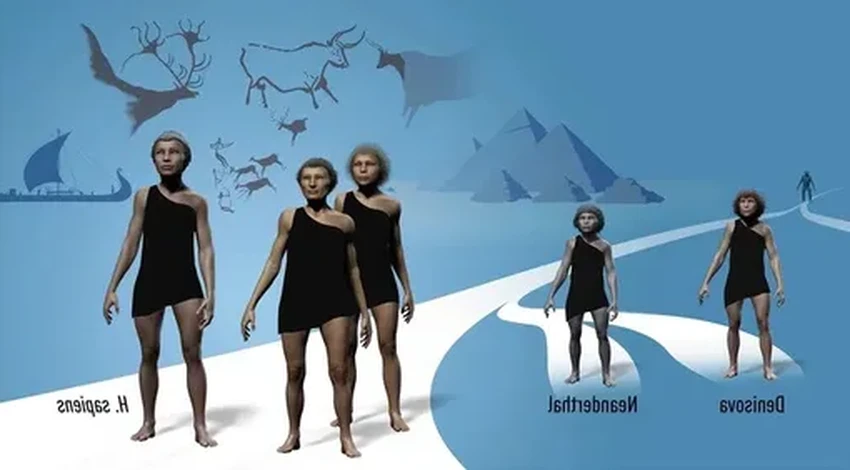 Неандертальские гены в ДНК: неожиданная связь с аутизмом и эпилепсией