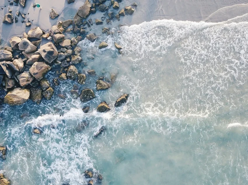 1400 лет под водой: генетические часы нашли древнейшее морское растение