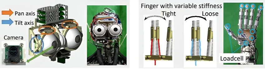 Японские ученые посадили робота-гуманоида за руль автомобиля для тестов