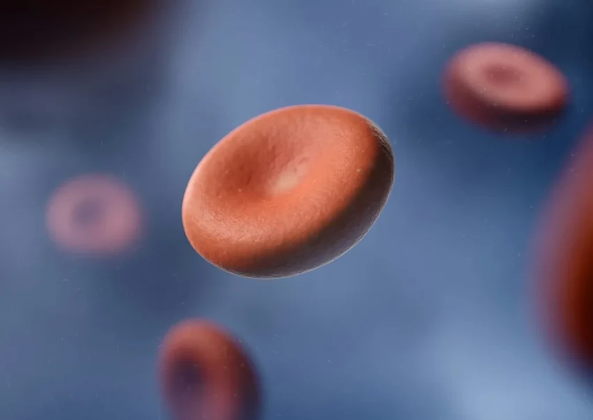 Почему клетки женщин теряют Х-хромосомы: генетические причины и риски