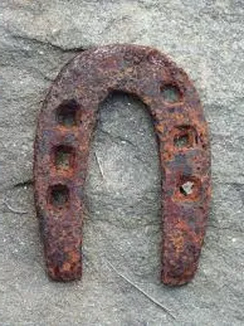 Как законно искать древности? Археолог о хобби без нарушений