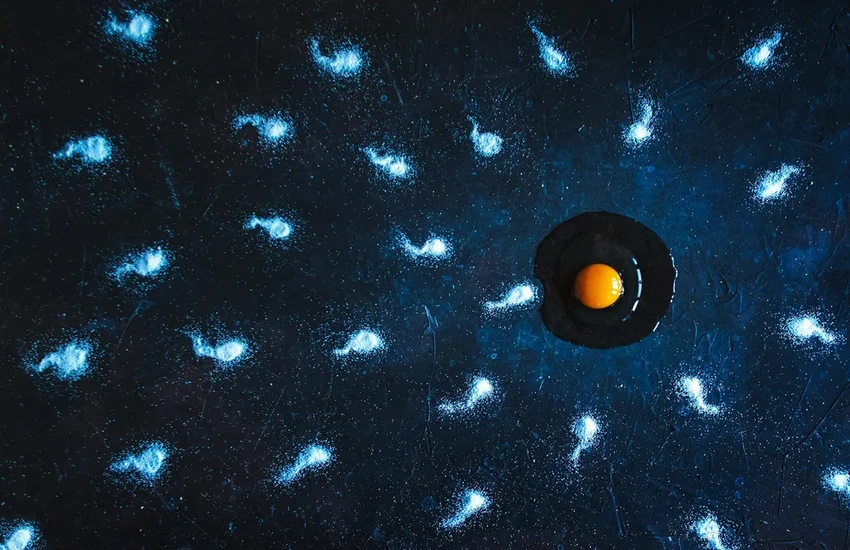 В сперме нашли микропластик: учёные говорят о репродуктивном кризисе