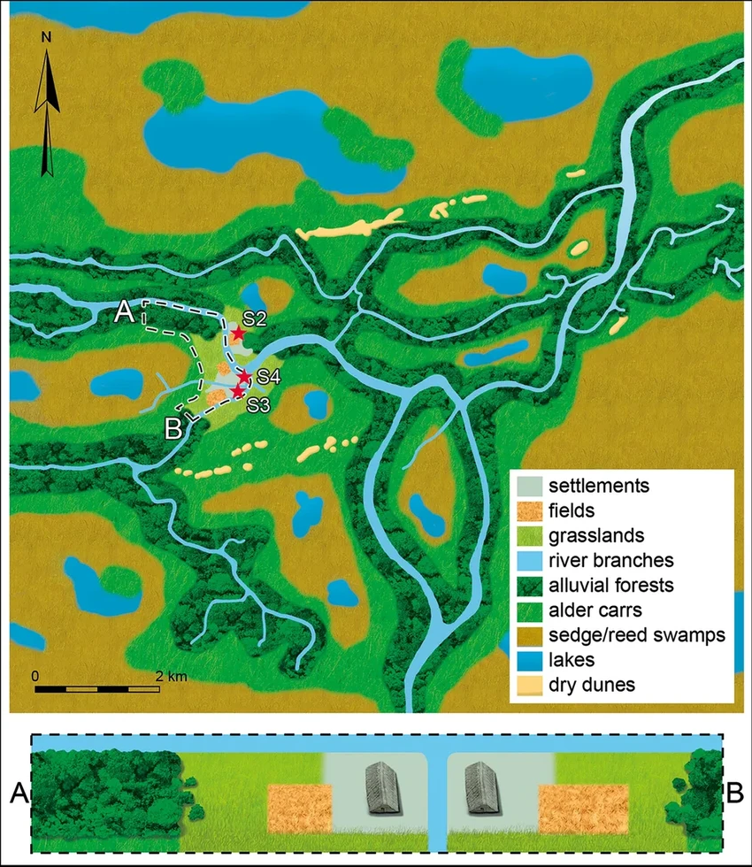 Первые фермеры разводили скот в Северной Европе более 6000 лет назад
