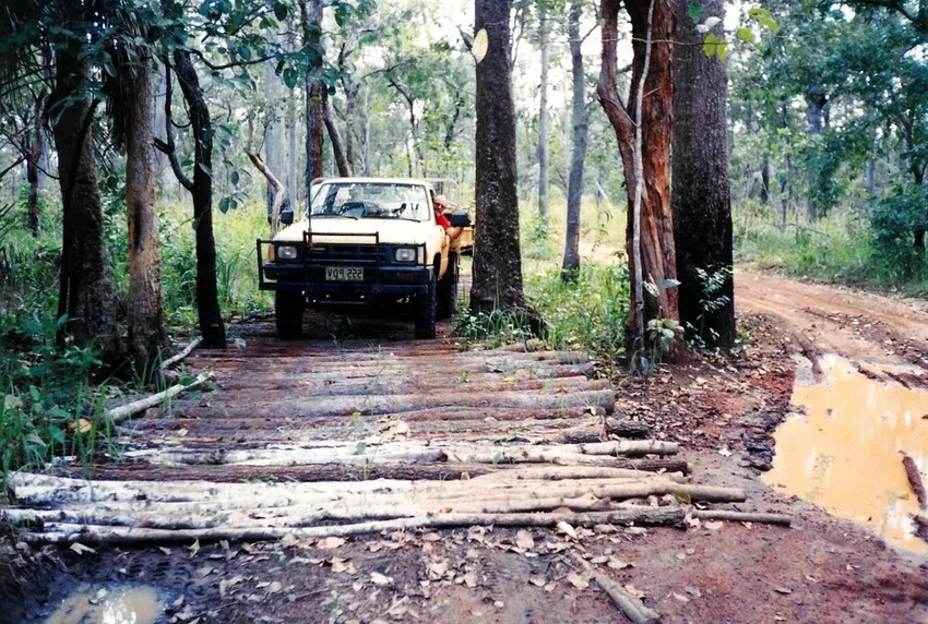 Гать своими руками: древняя технология для дороги через болото
