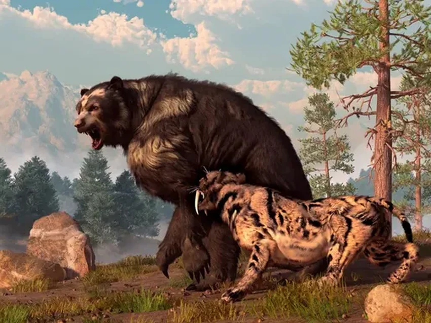 Коллаген раскрывает тайну: чьи кости скрывались в музеях 10 000 лет