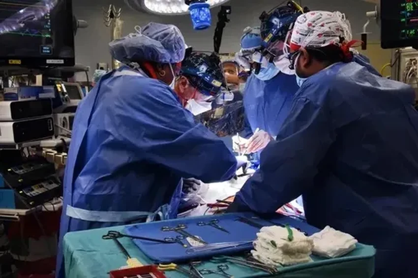 Первая в мире пересадка свиной печени живому пациенту: детали операции