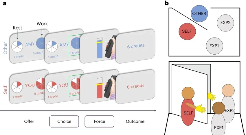 Ученые нашли в мозге «центр альтруизма»: почему мы помогаем другим