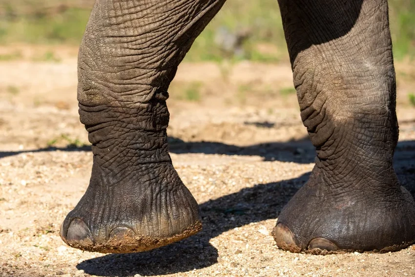 Новое чувство: учёные научили людей ощущать звук кончиками пальцев