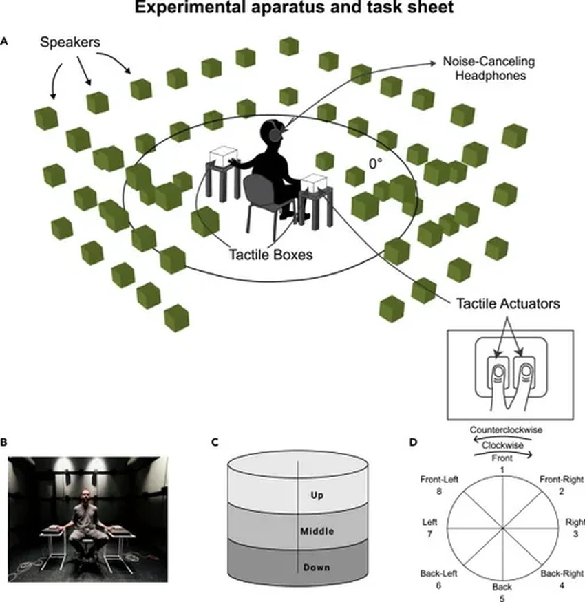 Новое чувство: учёные научили людей ощущать звук кончиками пальцев