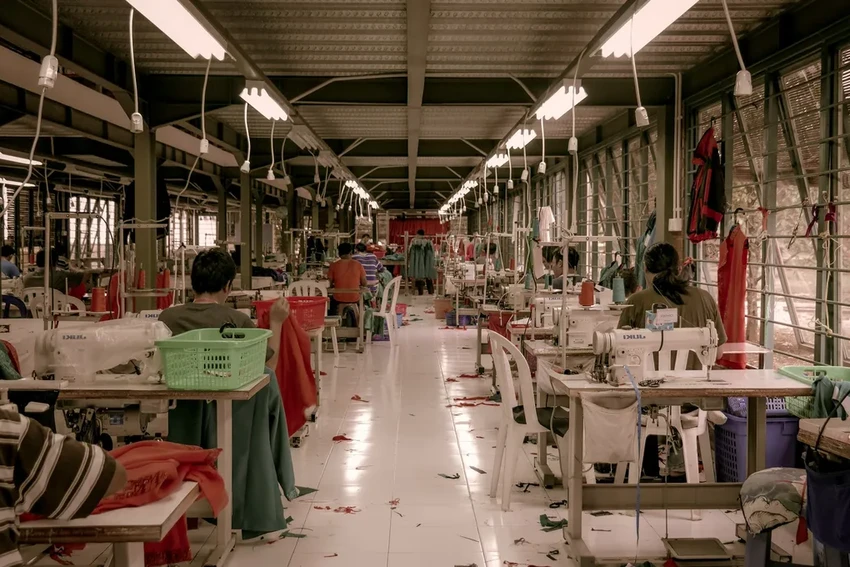 «Вечные химикаты» в одежде: как популярный бренд нарушает нормы безопасности