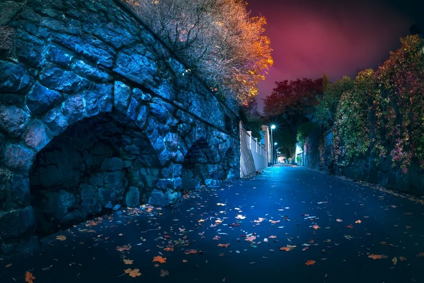 Как соцсети провоцируют кошмары: связь между скроллингом и плохими снами