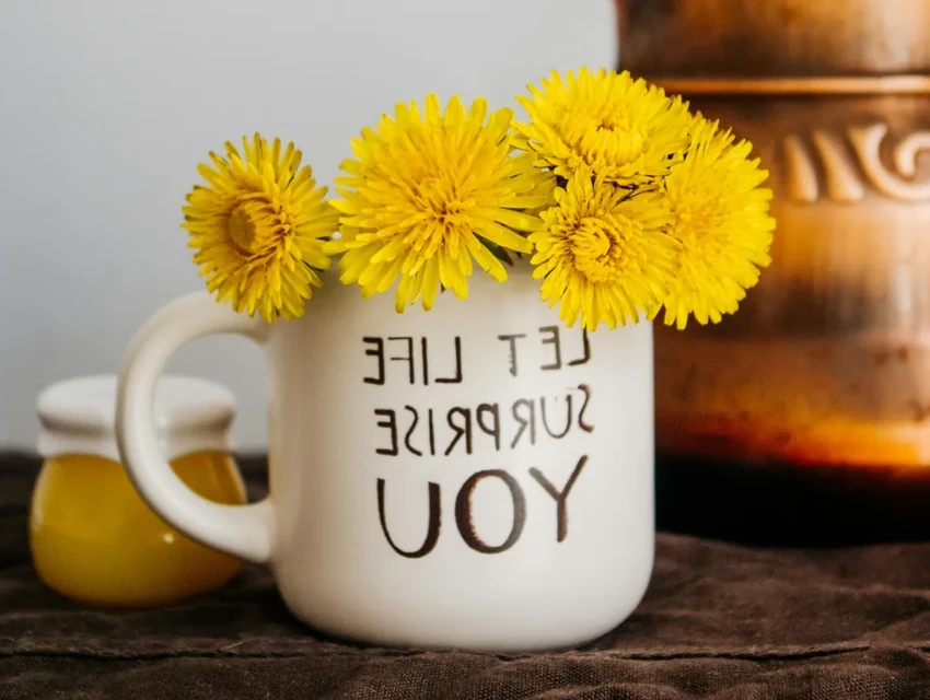 Одуванчик — не сорняк: 5 удивительных рецептов из золотых цветов