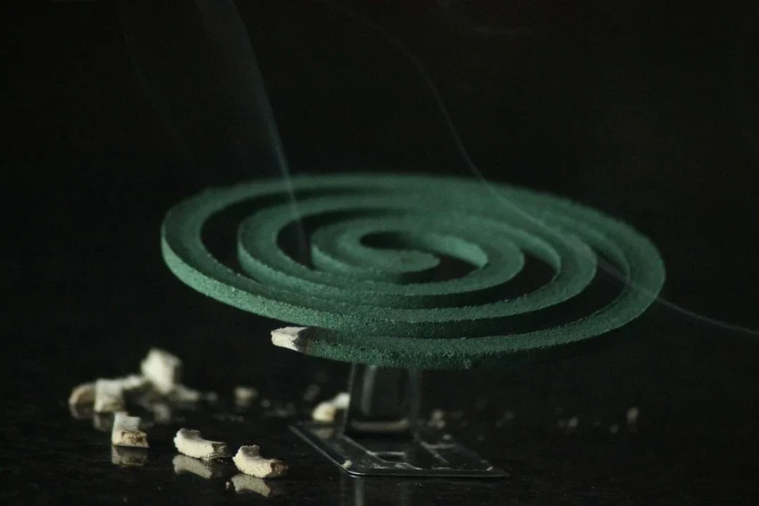 Комаров привлекает красный и черный: какие цвета одежды стоит избегать летом