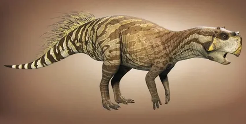 Уникальная находка: окаменелая кожа пситтакозавра с перьями и чешуёй