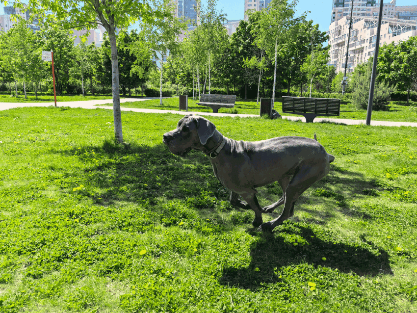 Личный опыт: как новый смартфон снимает гоночные болиды и макросъёмку