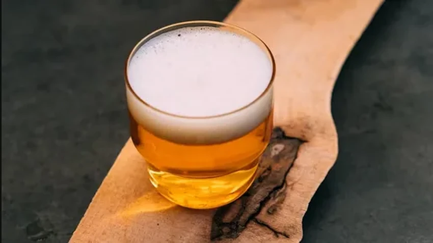 Killer Bee Beer: как дрожжи из кишечника пчёл-убийц стали крафтовым пивом