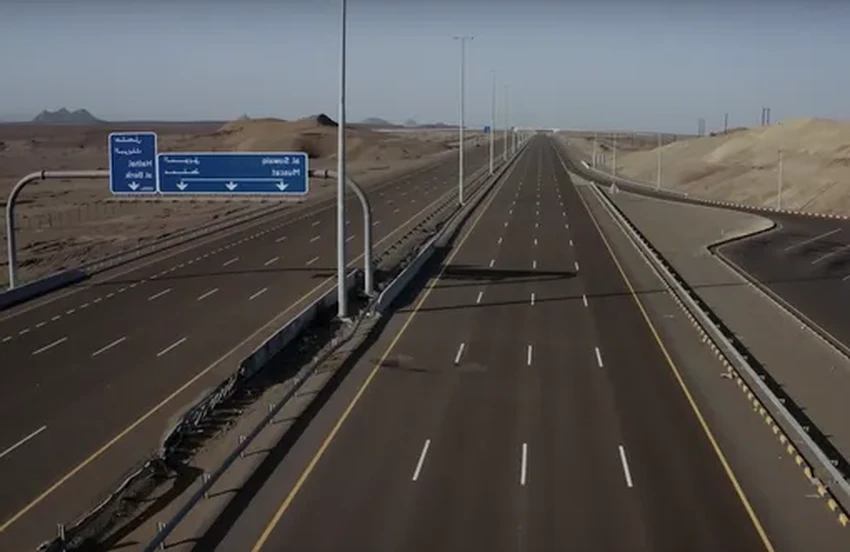 Как дикие зубры борются с выбросами углерода лучше тысяч автомобилей