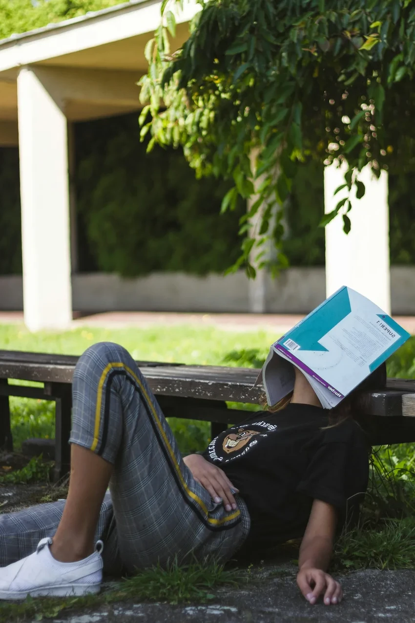 Наблюдение за птицами — научно доказанный способ быстро улучшить настроение