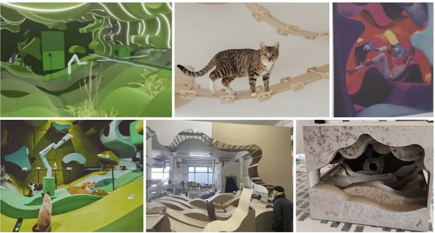 Доверить кошку роботу: каким должен быть идеальный «умный нянь»?