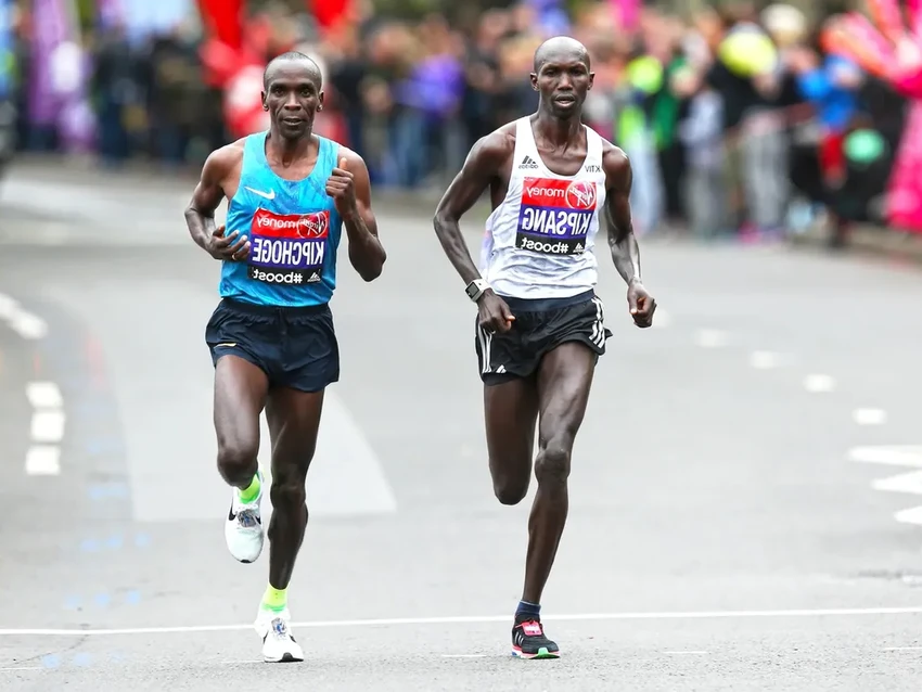 Эволюция бега: как долгая погоня за добычей сформировала человека