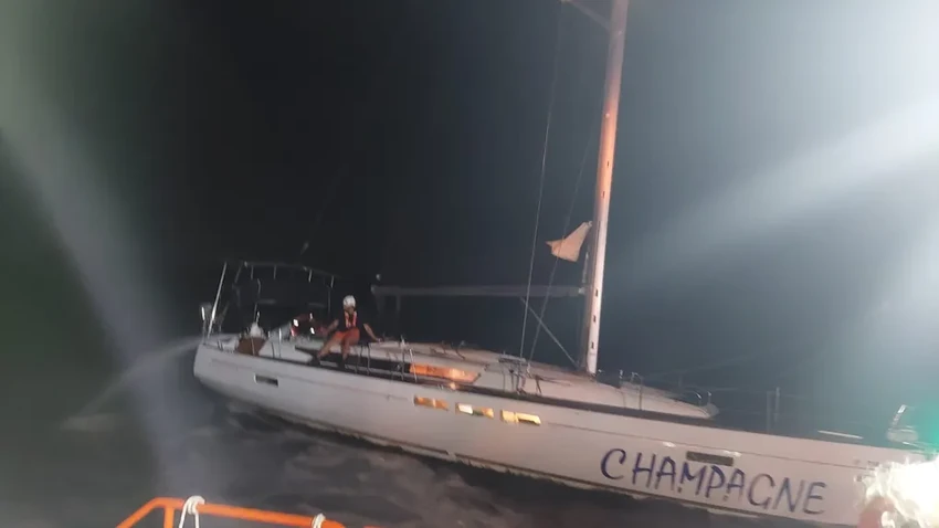 Косатки снова атаковали: почему киты топят яхты в Гибралтарском проливе