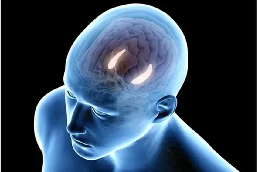 Почему мозг запоминает только то, что ему непонятно