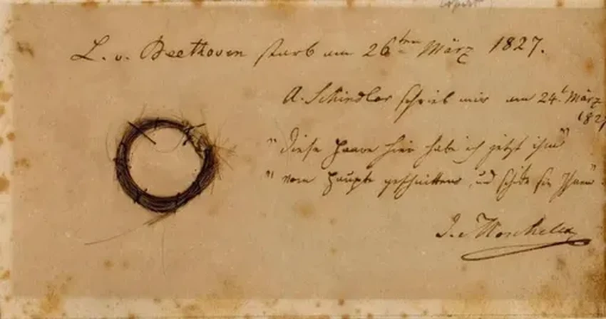 Разгадка смерти Бетховена: свинец подорвал здоровье, но не стал убийцей