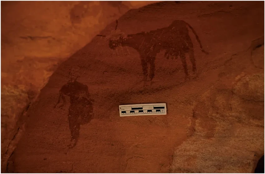 Коровы на скалах Сахары: доказательства того, что пустыня была цветущей саванной