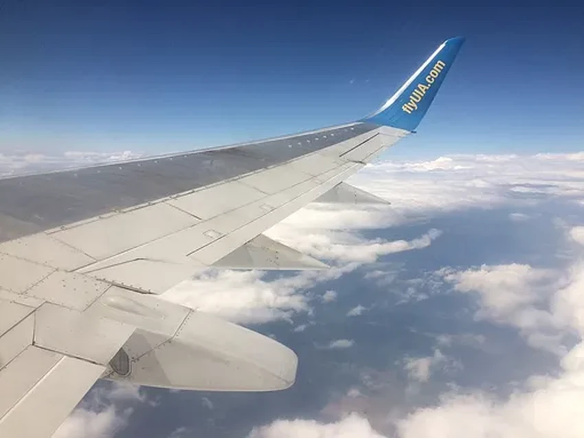 Крыло кондора повышает КПД ветряка на 10%: как птицы меняют энергетику