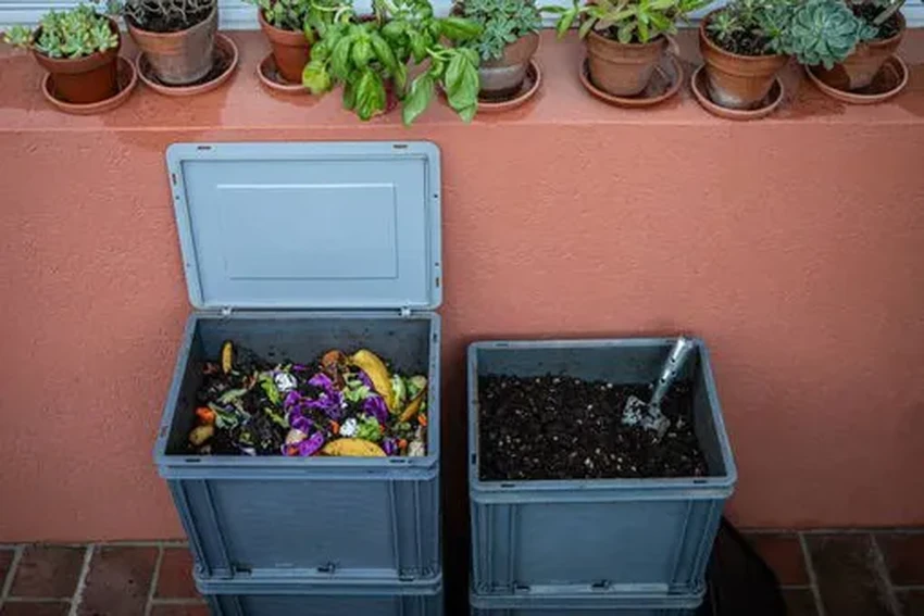 Что сделать из яичной скорлупы: необычное топливо и 7 других идей