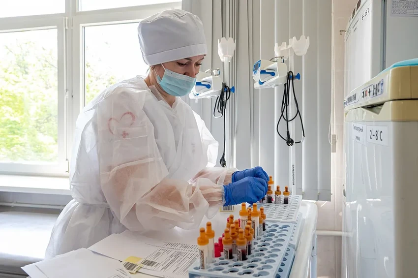 В каких регионах России клещи наиболее активны этой весной?