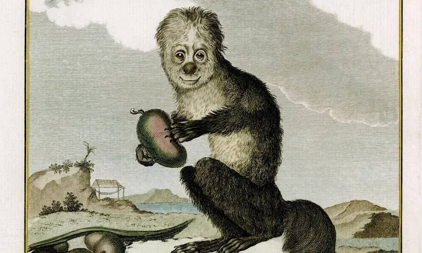 Дарвин не первый: кто предсказал эволюцию на век раньше?